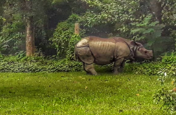 Nepal Tour Package From Gorakhpur